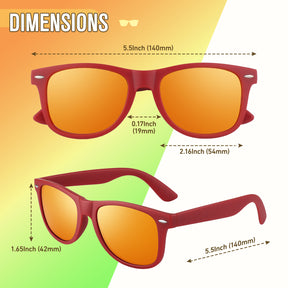 Wayfarer Brightly Colored Beach Polarized Sunglasses for men women